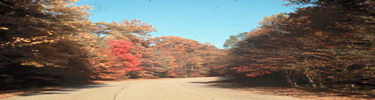 Colonial Parkway in the Fall